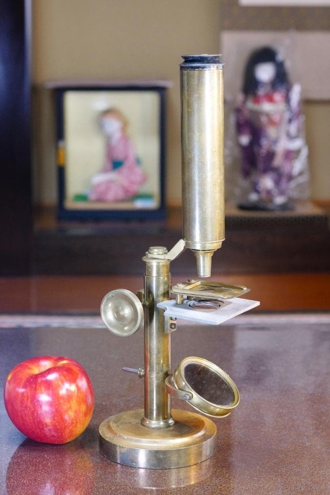 microscope antique collectible Peter Dolond's achromatic microscope