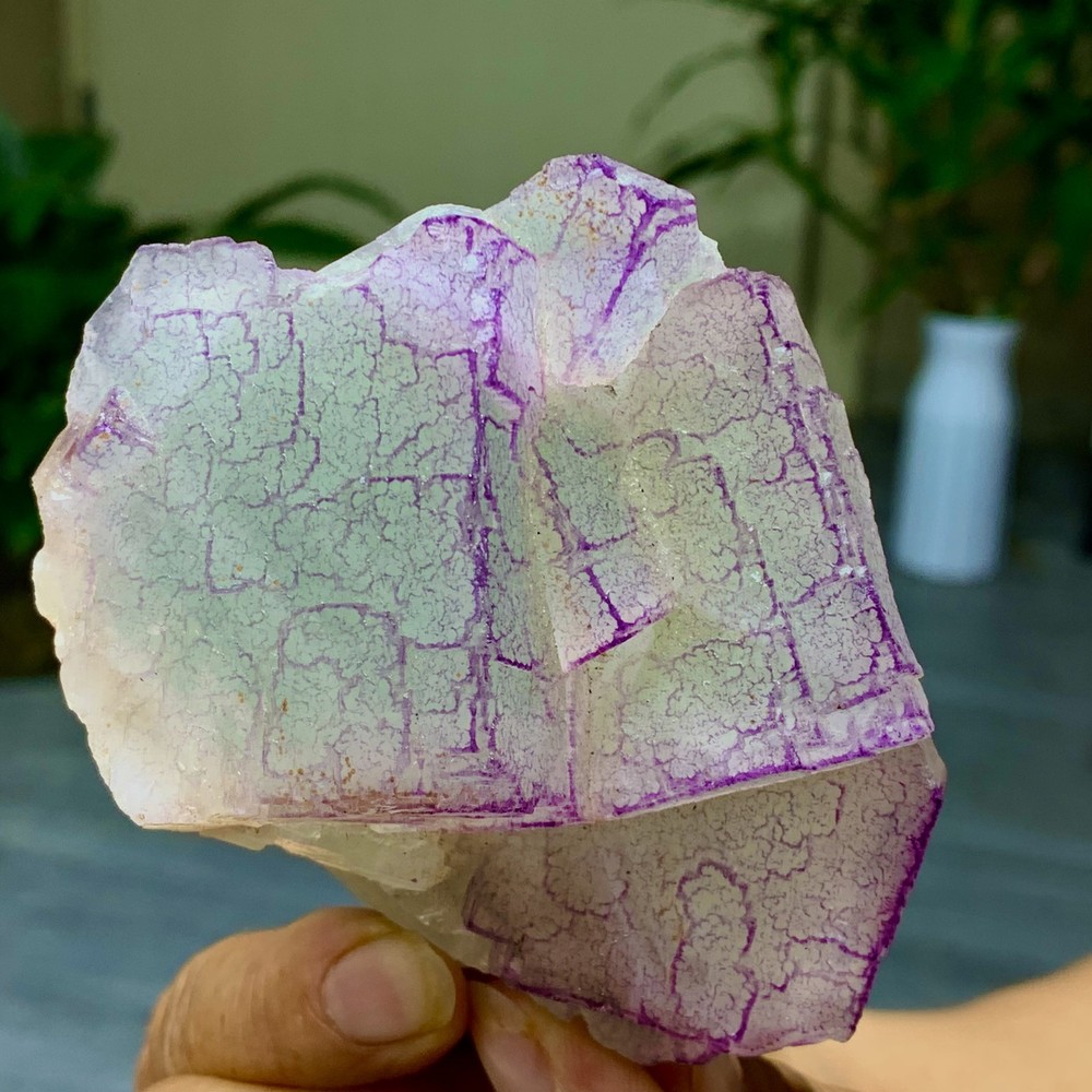 3 Code"Fluorite Cluster Crystal Mineral Specimen/Guizhou