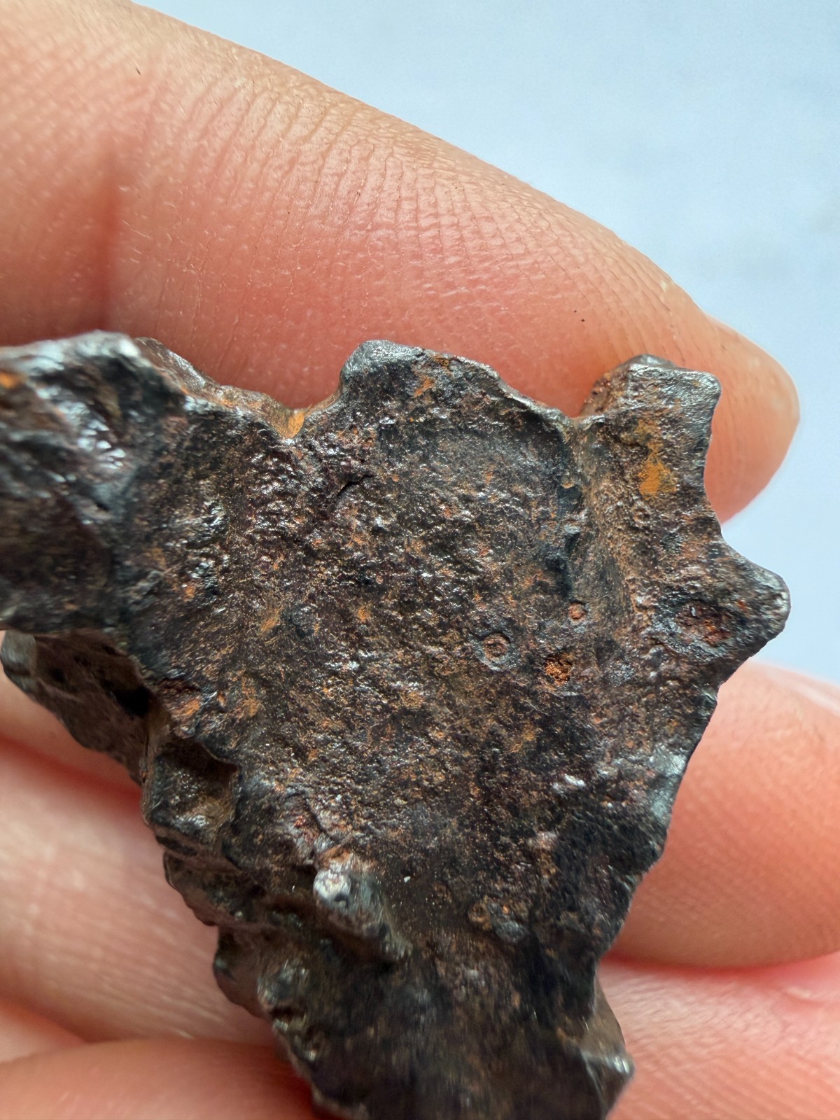 Sikhote-Alin Iron Meteorite 13.8g with Exemplary Regmaglypts Small Impact Crater
