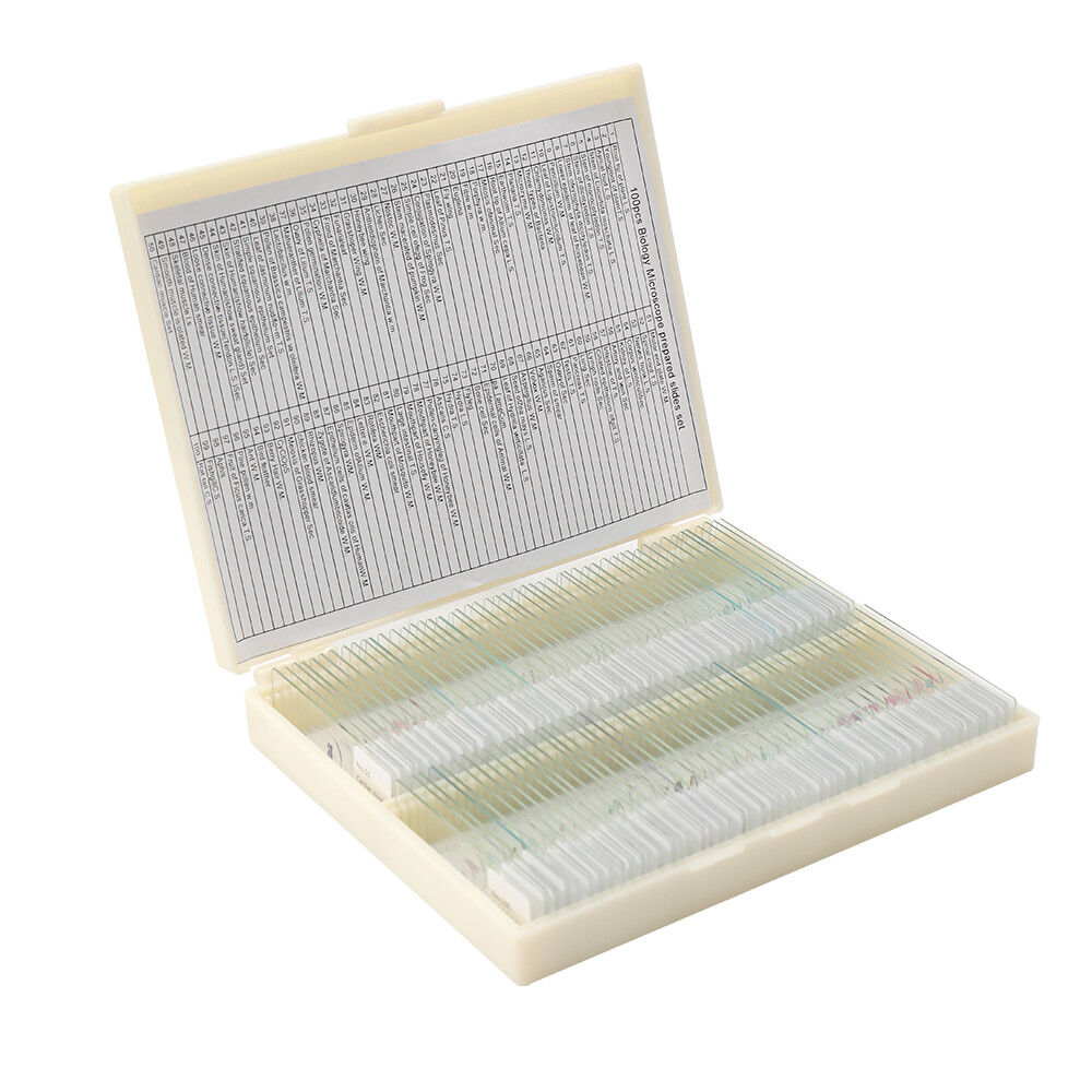 100PCS/Set Biological Glass Sample Portable Educational Microscope Slides J4E6