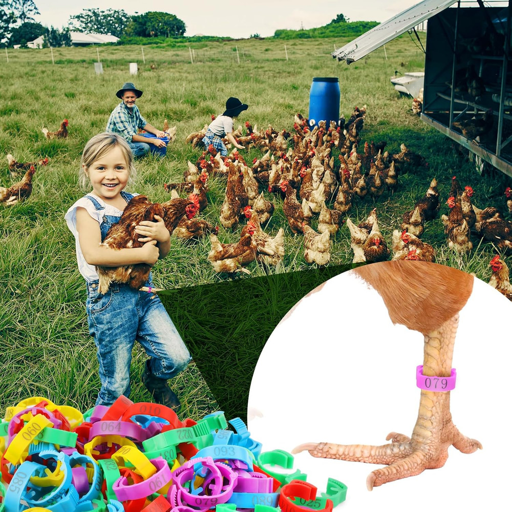 100 Pcs Adjustable Chicken Leg Rings, Multicolor Numbered Chicken Identification