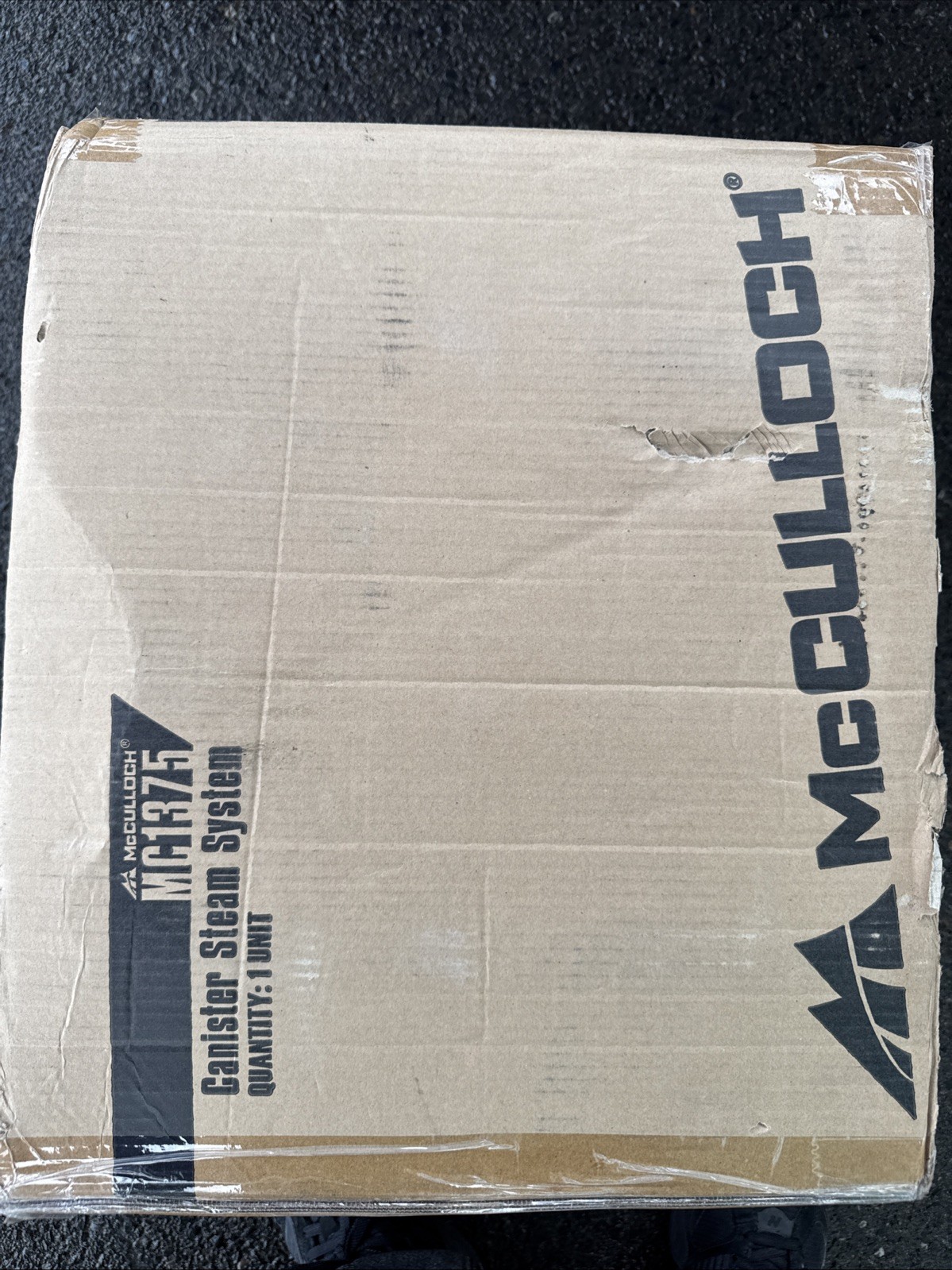 mcculloch steam cleaner 1375