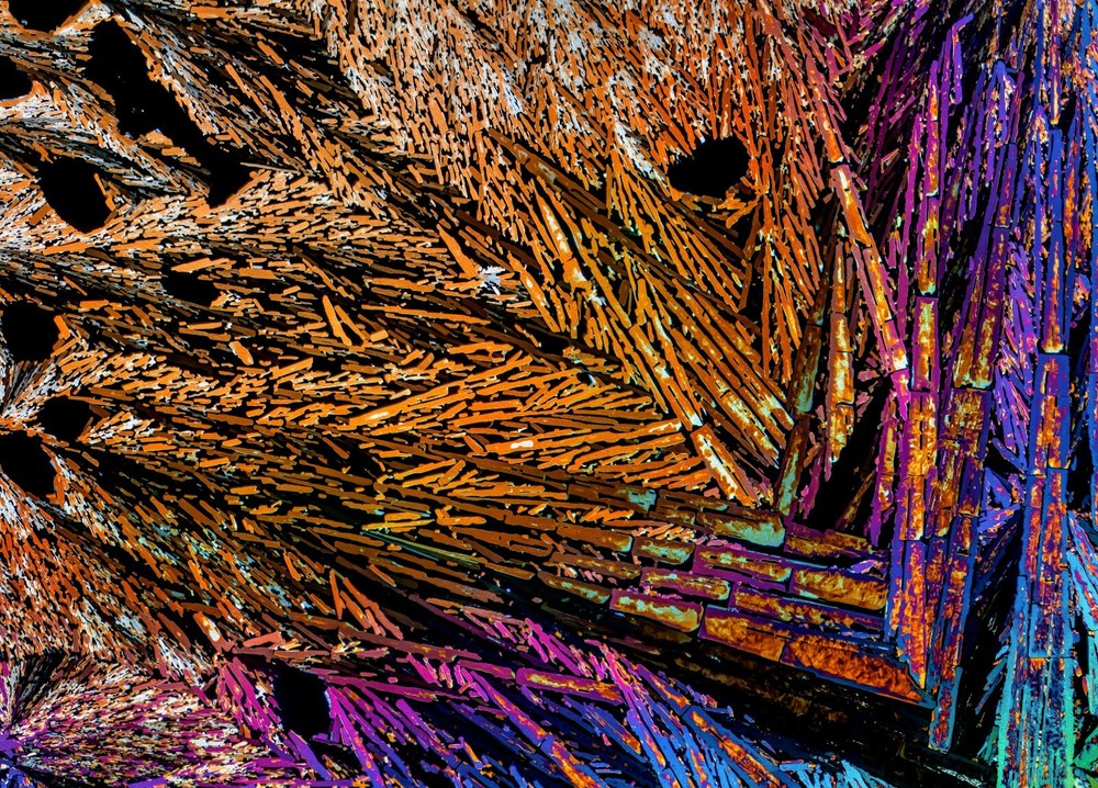 Microscope slide for polarized light, DICARBOXYLIC ACID