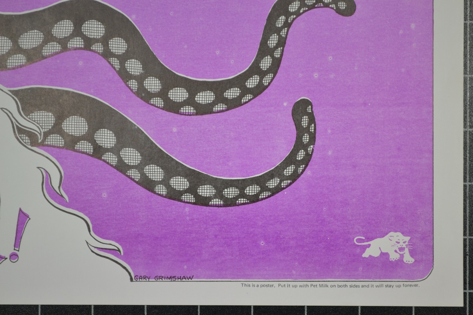 WHITE PANTHER PARTY - GARY GRIMSHAW - STOP THE CIA CONSPIRACY! - FREE JOHN, PUN