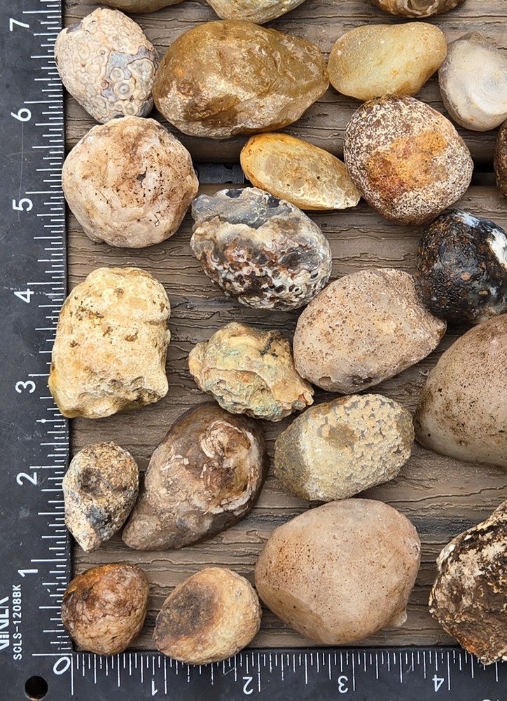 Oco Agate Geodes Whole - Mine Run Rough - 1 Pound Lb - Mostly Solid Agate