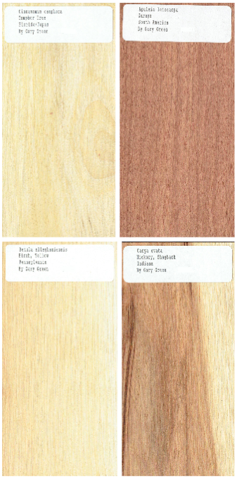 40 pc. Set of 1/2 x 3 x 6" Wood Samples for Collecting, Knife Scales, etc. Set 1