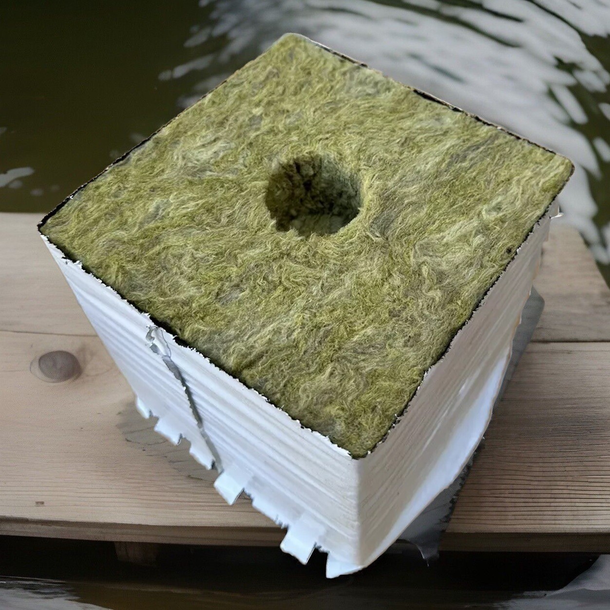 48pk 6" x 6" Rockwool Grow Blocks Cubes Quick Drain Healthy Planting