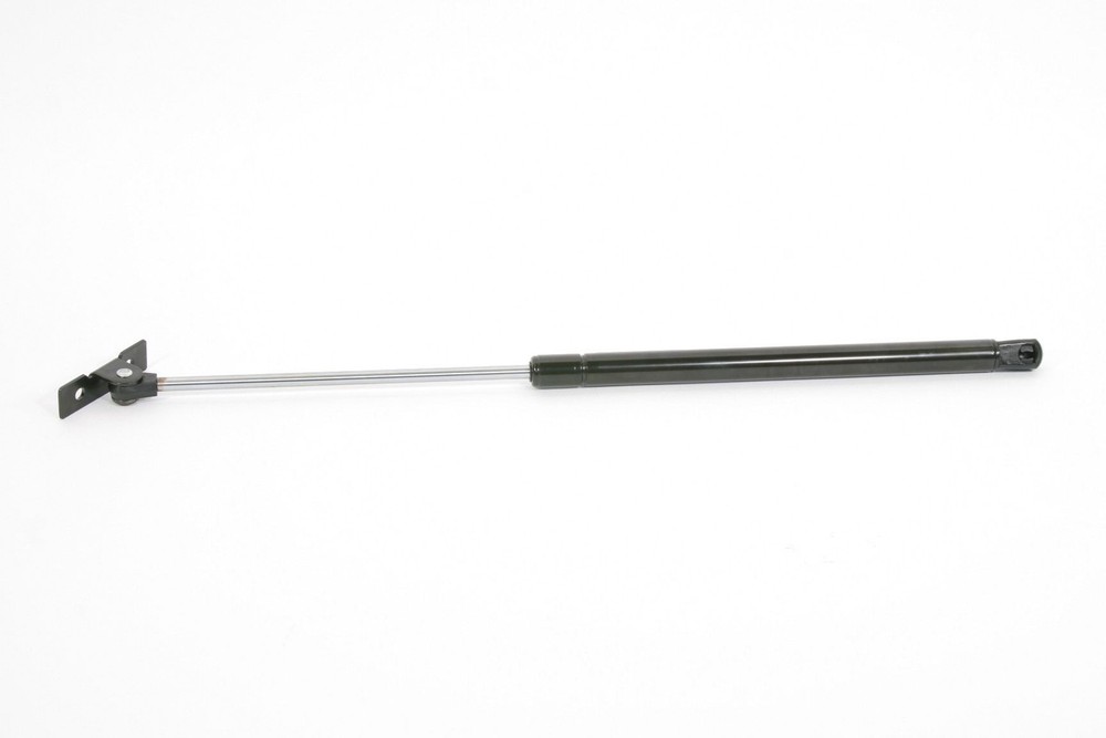 Hood Lift Support