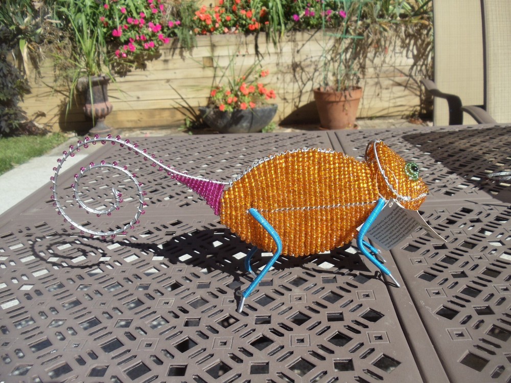 Beaded land: Chameleon