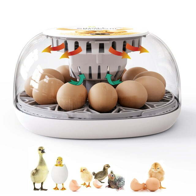 Egg Incubator 12 Eggs Incubator with Automatic Egg Turning for Hatching Eggs