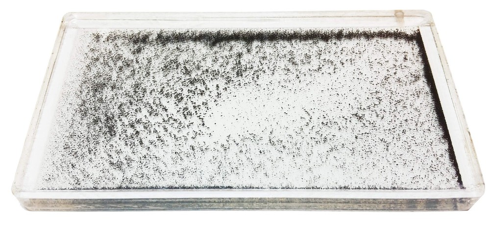 Magnetic Field Demonstration