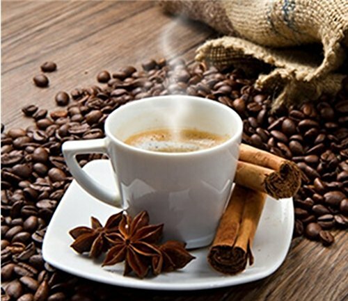 6 Spanish Colador de Cafe Coffee Strainer Filter Cloth Mesh with Plastic Handle