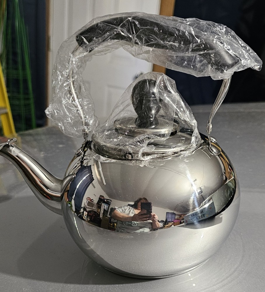 Silver Teapot