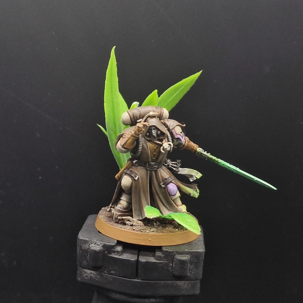 Pro Painted Warhammer 40k primaris Phobos Librarian Games workshop