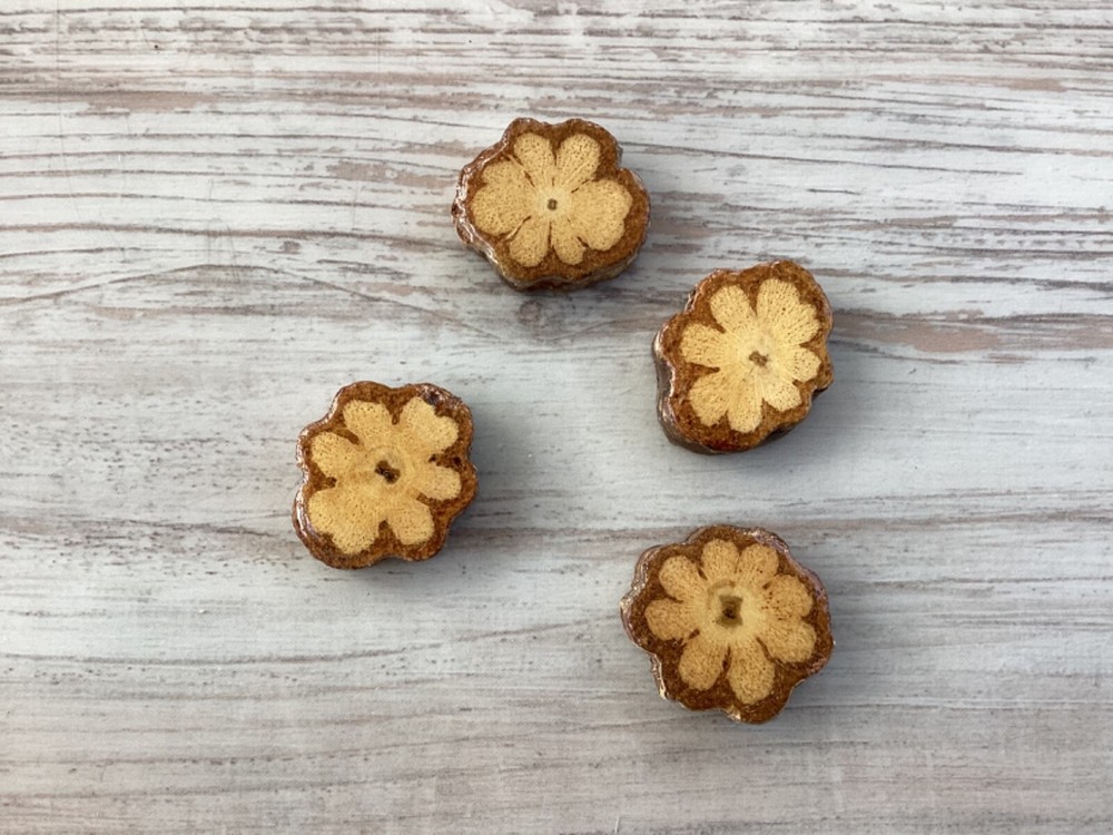 10 Pcs Ayahuasca Vine Slice 2.7cm