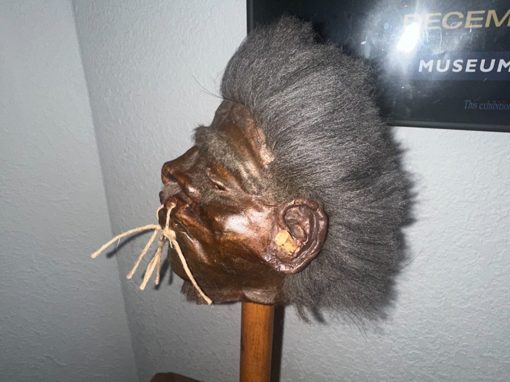 New Model JIVARO SHRUNKEN HEAD -TSANTSA