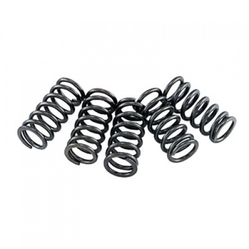 EBC Clutch Spring Set CSK77