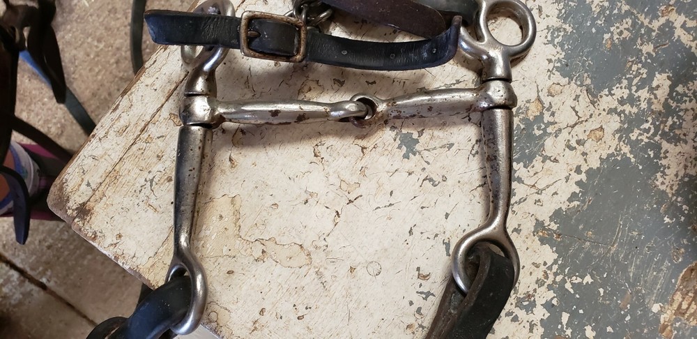 Western leather split reins with a tom thumb bit