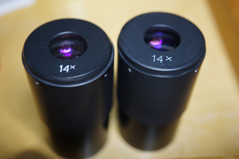 Eyepieces vor MBS microscope .