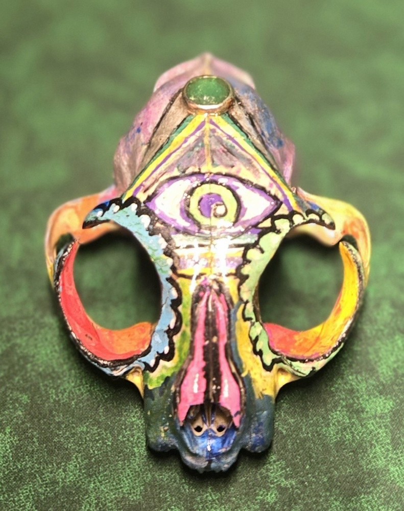 Hand Painted Genuine Cat Skull