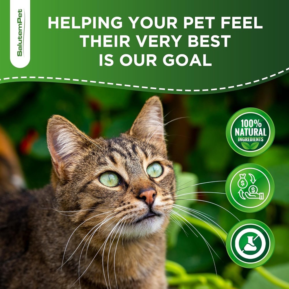 Probiotics for Cats Digestive White with green and orange elements