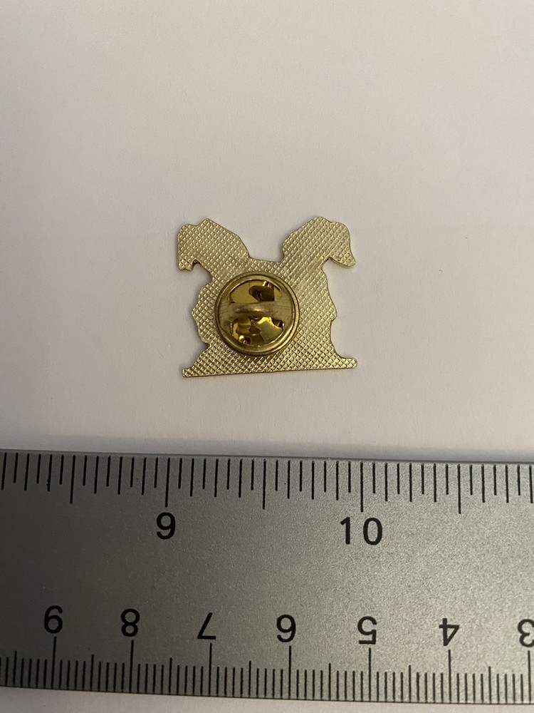 Shriners Lapel Pin P130
