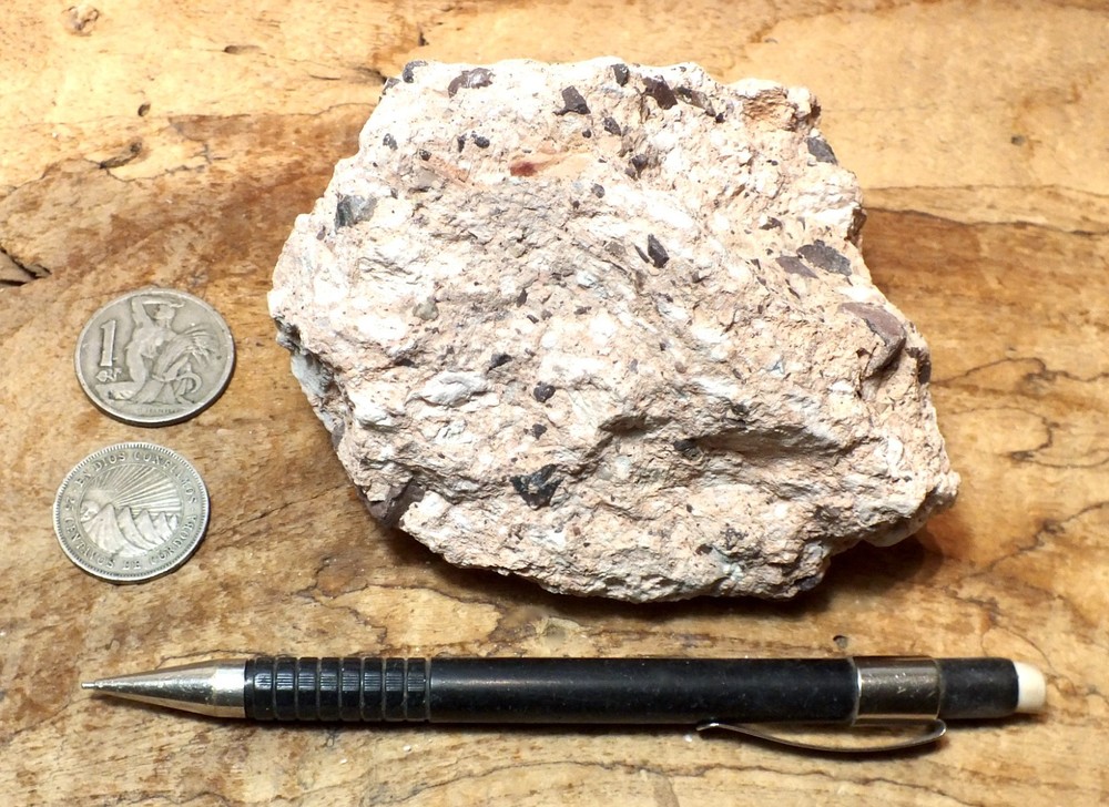 tuff breccia - welded volcanic ash with angular clasts - hand specimen