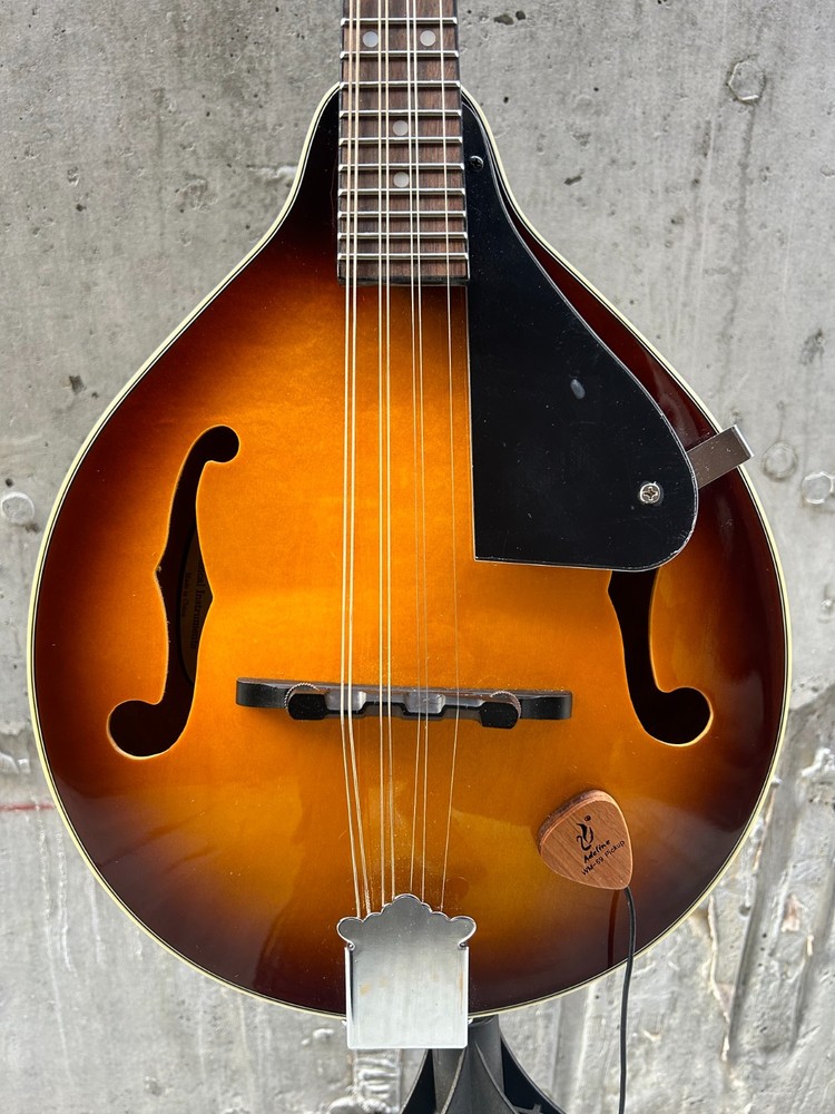 Savannah so-sa090-tsn Mandolin 8 string with Pickup (read)