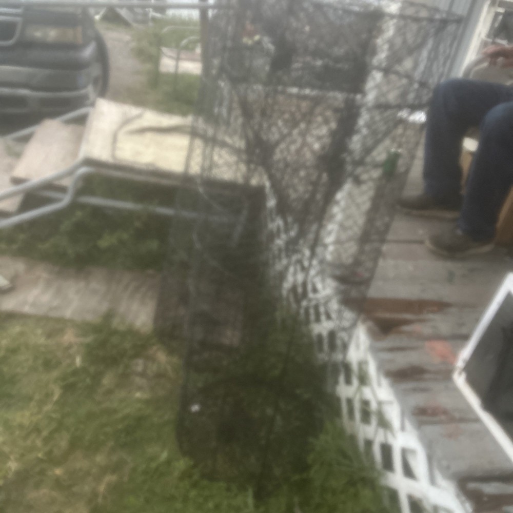 Catfish Trap