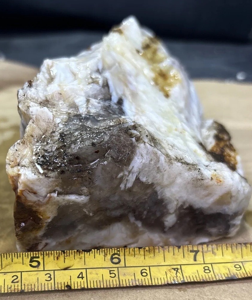 Silver Creek Junction optimized petrified wood