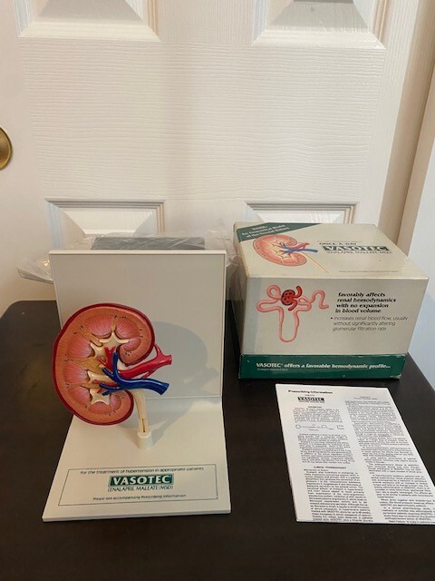 Drug Pharmaceutical Vasotec Kidney Model