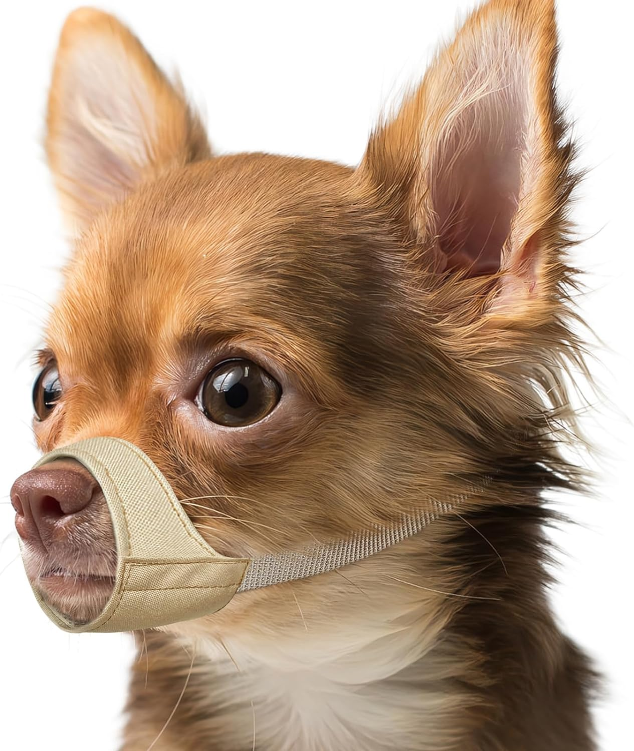 Short Snout Dog Muzzle, Small Muzzle for Chihuahua Shih Tzu American Bully