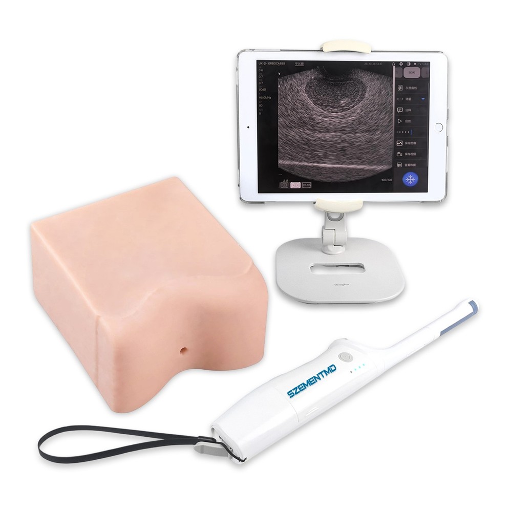 With Diseased TissueProstate Biopsy Training Model or Model Kits, Teaching Train