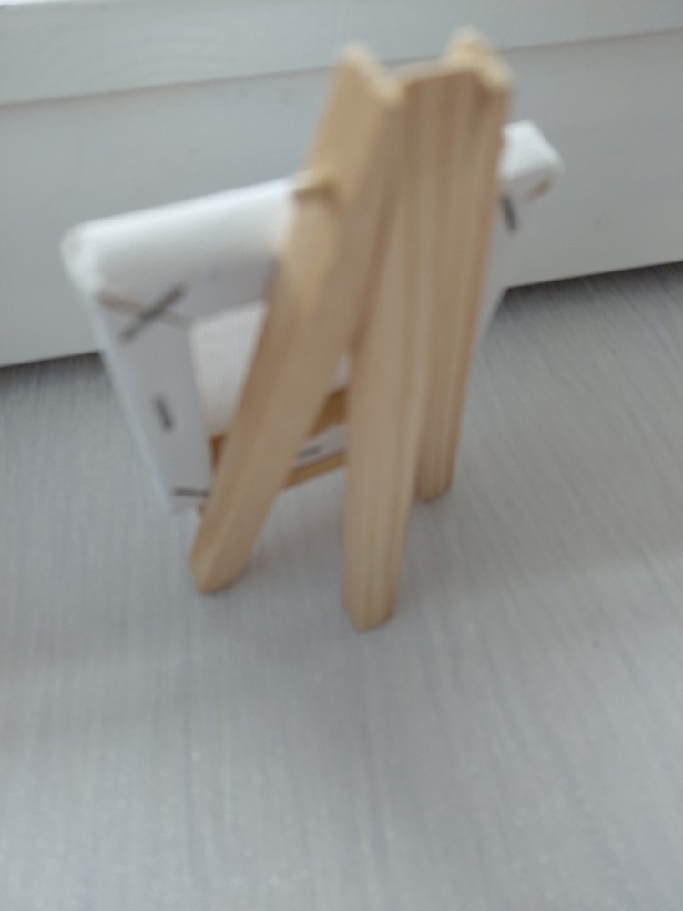 4x Mini Canvas & Easels