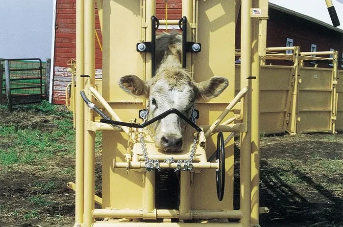 FOR-MOST 10T HEAD TABLE