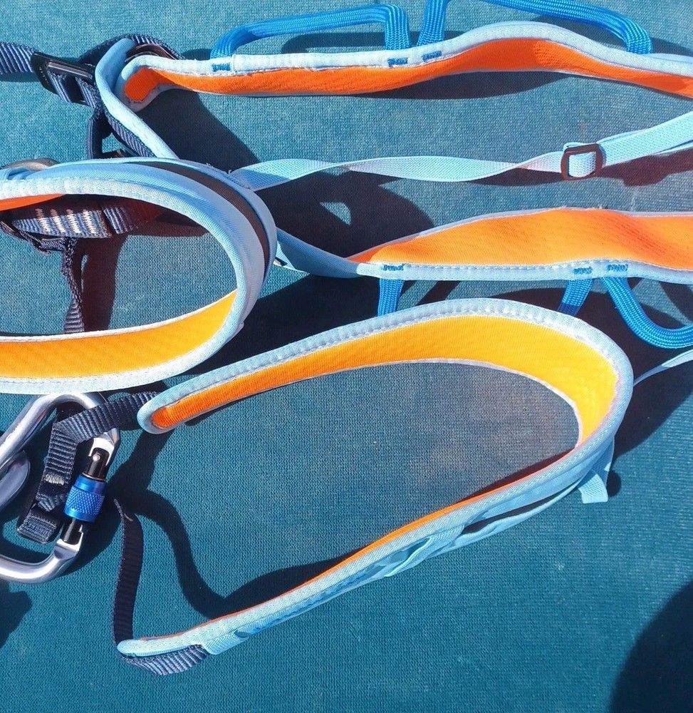 Mammut Climbing Harness