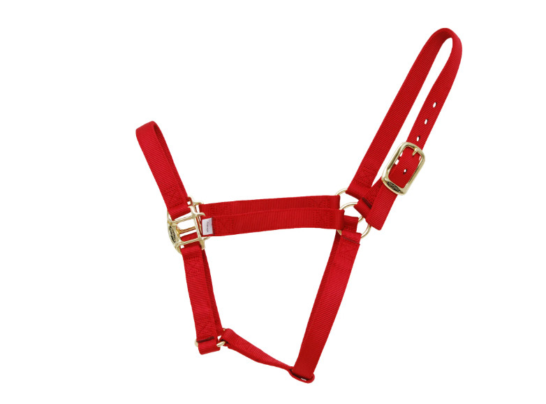 Reinsman Nylon Halter