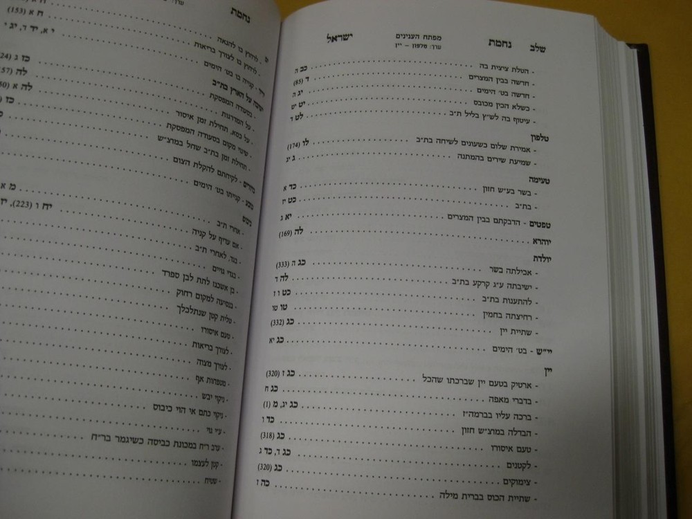 Nechamat Yisrael on BEN HAMETZARIM - DEVLITZKY נחמת ישראל : דיני ימי בין המצרים