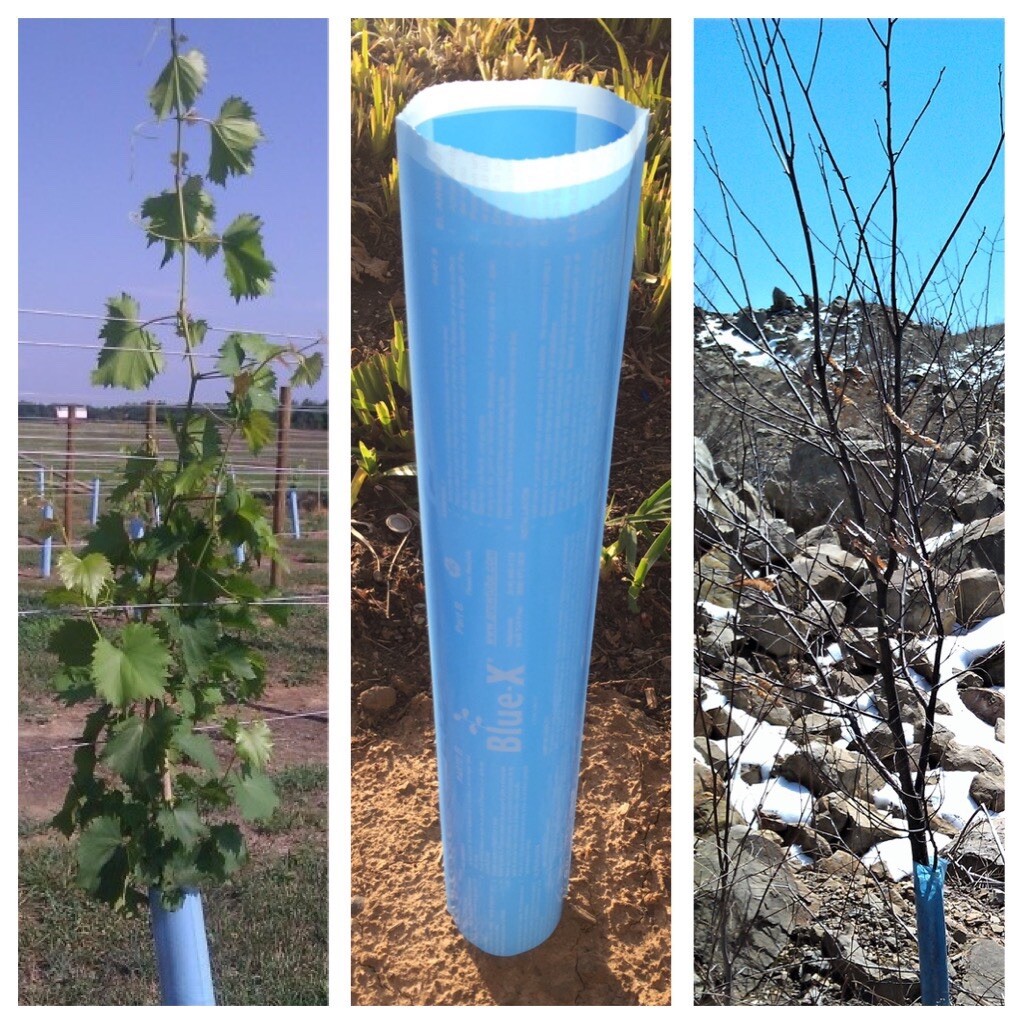 Blue-X Grow Tubes, 24” Grow Tube Box Of 50