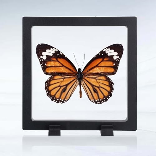 12 Pcs 3D Floating Frame Display Case, Challenge Coin Display Stand Holder