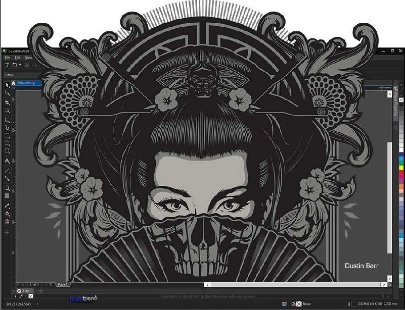 CorelDRAW Graphics Suite 2019 Full Version Windows PKC Permanent License Original Packaging NEW