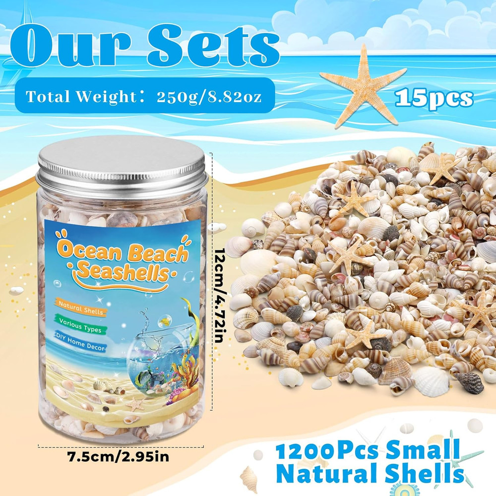 1200 Pcs Tiny Sea Shells, Seashells for Crafts with Small Shells Starfish Mixed