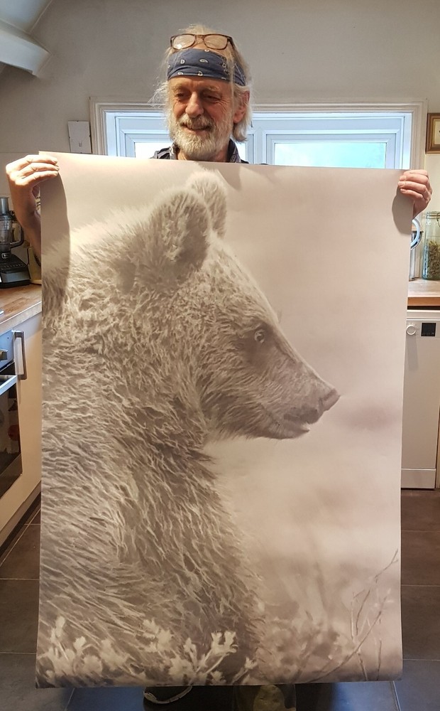 Bear, A0 drawing.