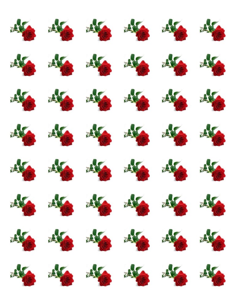 48 RED ROSE ENVELOPE SEALS LABELS STICKERS 1.2" ROUND