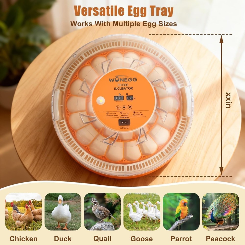 30 Egg Incubator with Humidity Display Egg Candler Automatic Egg Turne