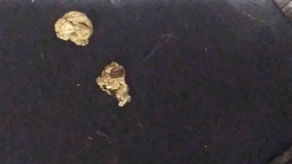 Gold Nuggets