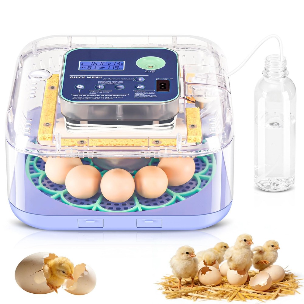 Egg Incubator with Humidity and Temp Control for Hatching