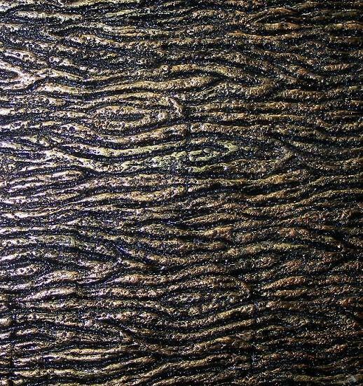 "THE ORIGINAL" TREE BARK ROLLER SET - PERFECT TREE BARK REPLICATOR - 3 ROLLERS