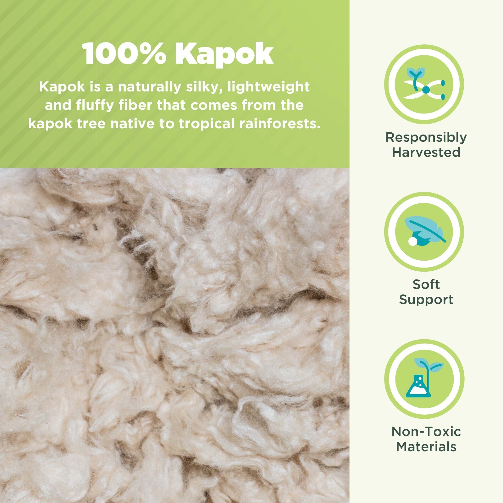 Organic Cotton Soft Pillow Dust Mite Proof for Relaxation and Better Sleep