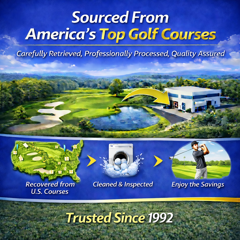 Titleist Pro V1x 2018 Left Dash RCT Used Golf Balls Pristine 12 Pack